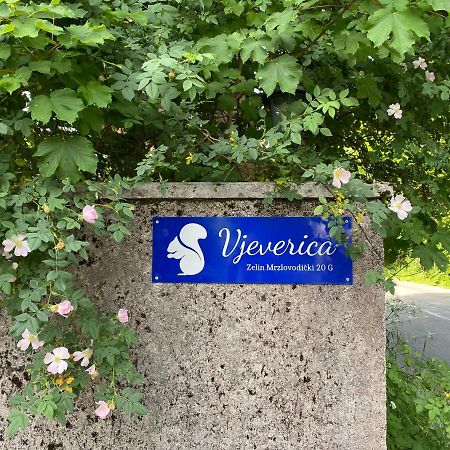 Apartments Vjeverica Zelin Mrzlovodicki Екстер'єр фото