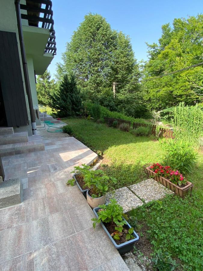Apartments Vjeverica Zelin Mrzlovodicki Екстер'єр фото
