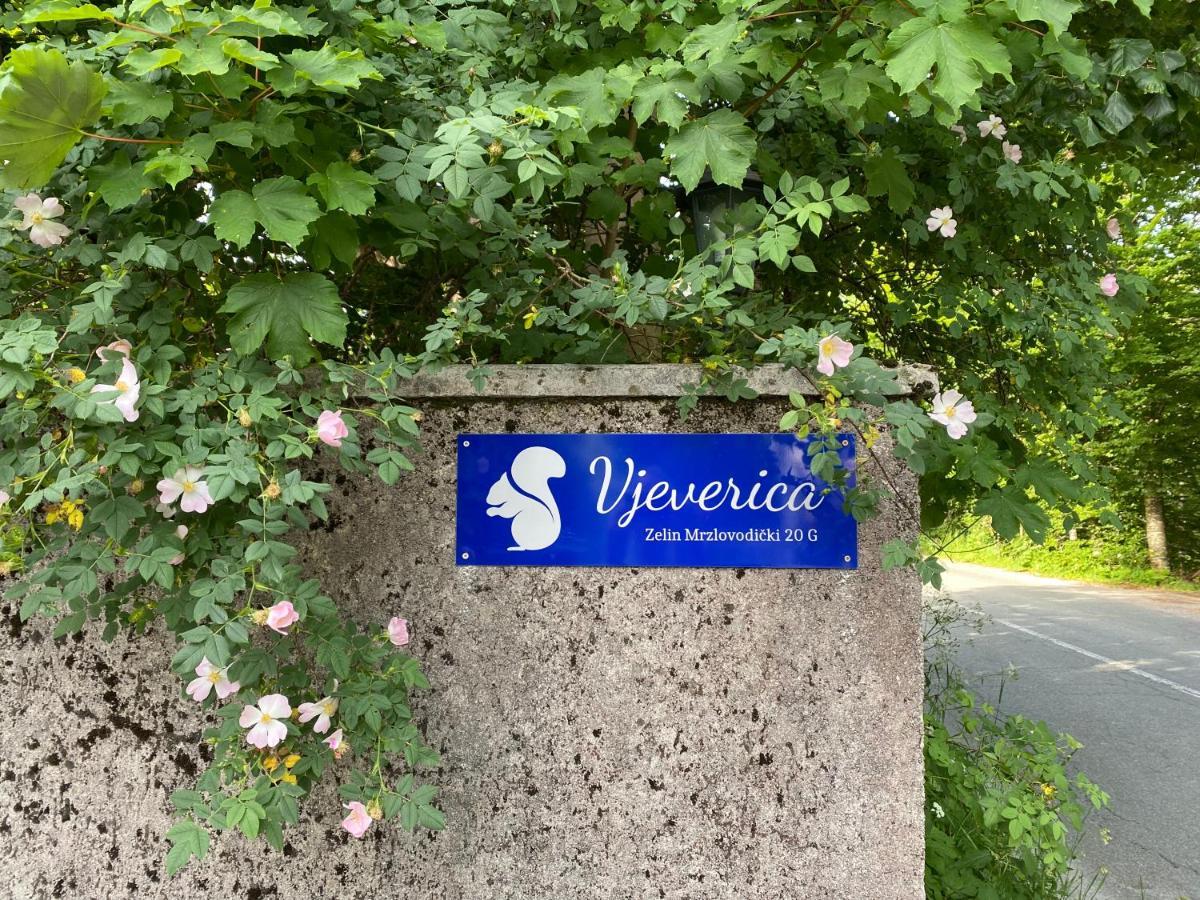 Apartments Vjeverica Zelin Mrzlovodicki Екстер'єр фото