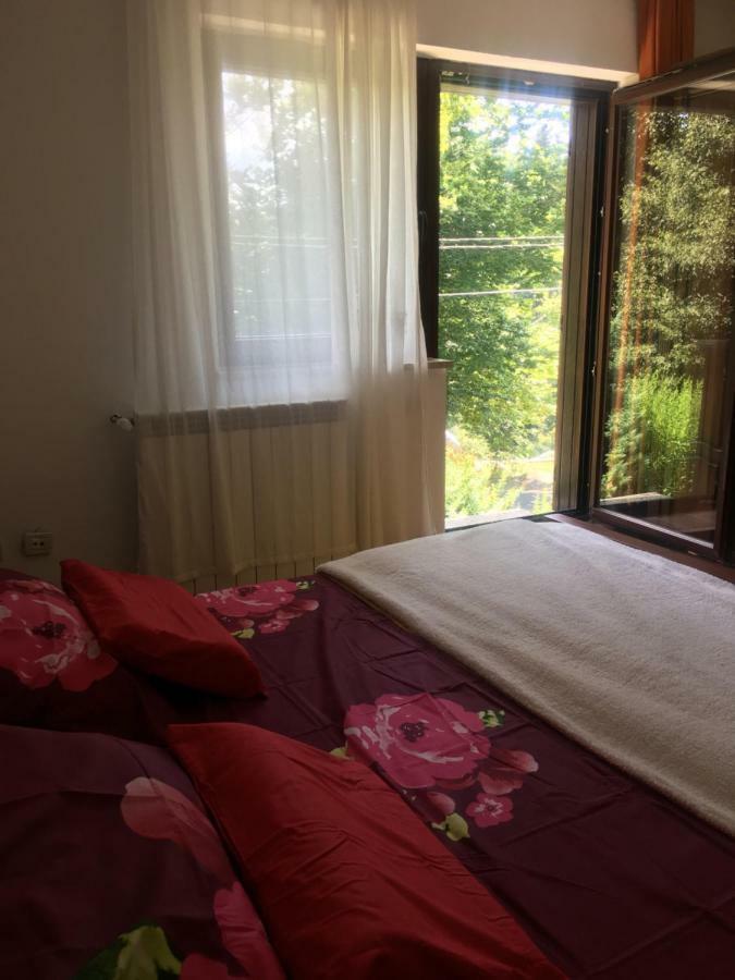 Apartments Vjeverica Zelin Mrzlovodicki Екстер'єр фото